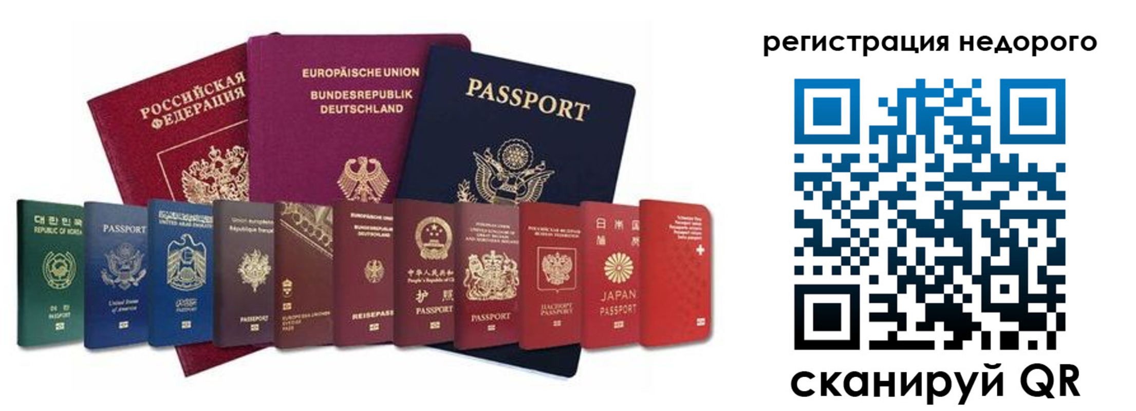прописка гарантия в Грозном